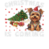 Noël arrive version chien