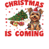 Noël arrive version chien