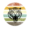 Retro Tiger Stripes Sunset