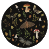 Waldpilze