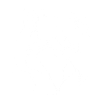 Frettchen mit Sonnenbrille Coole Frettchen