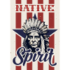 Indianer Federschmuck Native Spirit