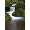 Mooswald Waterfall Motif