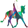 equestrian,equestrian,racing,riding,tournament riding