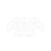 Poker Pokern