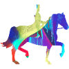 equestrian,equestrian,racing,riding,tournament riding