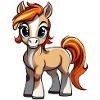 Petit poney mignon