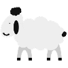 sheep