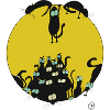 Black Cats Are Watching You