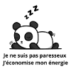 Panda Endormi Économise Son Énergie