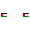 Peace love Free palestine