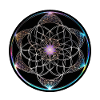 Blume des Lebens Farbige Geometrie Kreis