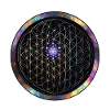 Fleur de Vie Cosmos Circle