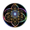 Kaleidoscopic Flower of Life