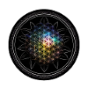 Flower of Life Rainbow