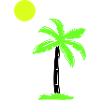 palm tree