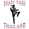 Muay Thai Boxing Muay Thai