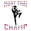 Muay Thai Boxing Muay Thai