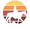 Western Cowboy Reiter