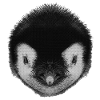 pinguinbaby, tiergesicht