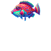 Humuhumunukunukuapua'a Hawaiian