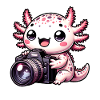 Photographer Axolotl Camera Photography
