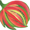 Blume