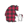 Abuela Bear