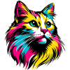 Chat