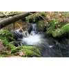WALDBACH NAGOLDTAL