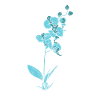 Plante, Orchidée, Fleur, Plante