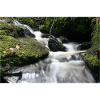 WALDBACH NAGOLDTAL
