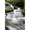 WALDBACH NAGOLDTAL