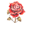 Rose Rouge Goth Cool