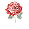 Rose Rouge Goth Cool