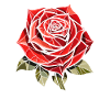Red Rose Goth