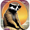 Cute meerkat with sunset
