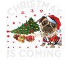 Noël arrive version chien