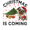 Christmas Is Coming Dog Version