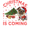 Noël arrive version chien