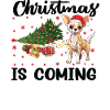 Noël arrive version chien