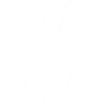 Frettchen mit Sonnenbrille Coole Frettchen