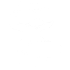 Frettchen mit Sonnenbrille Coole Frettchen
