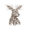 Nature's Unity Hare Collection