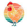 Poule de poulet