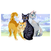 Rootspring Shadowsight Bristlefrost Cats Beautiful