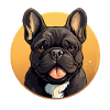 Französische Bulldogge