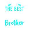 Big Brother Gift