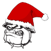 Dog love Christmas