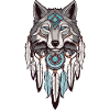 Wolf Dream Catcher